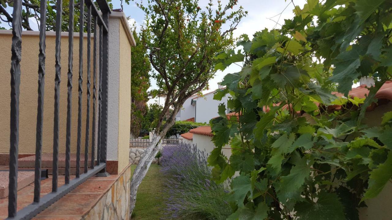 Holiday House Lavanda ヴーシ エクステリア 写真